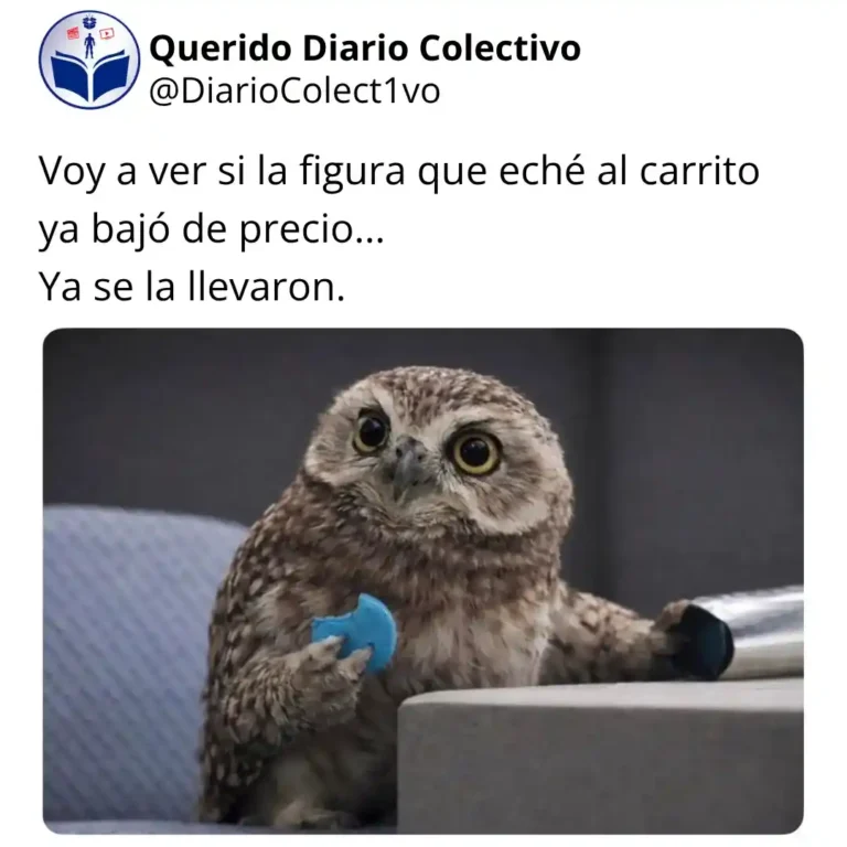 Voy a ver si la figura que eché al carrito ya bajó de precio... Ya se la llevaron.