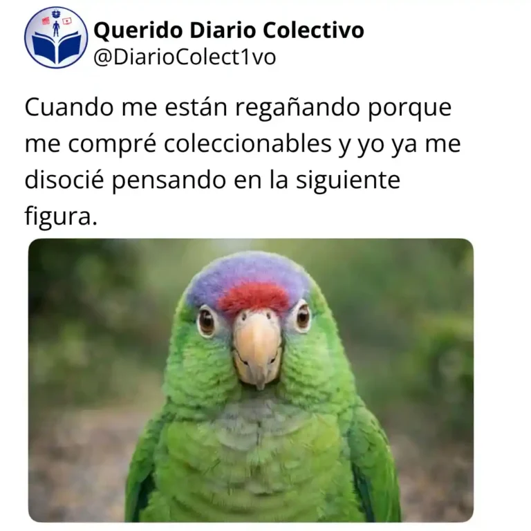 Cuando me están regañando porque me compré coleccionables y yo ya me disocié pensando en la siguiente figura.