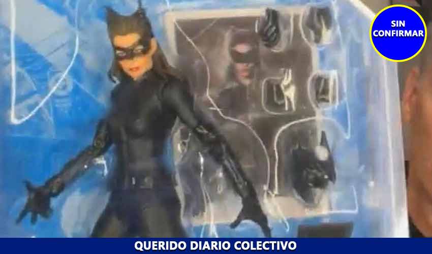 Querido Diario Colectivo Catwoman Mcfarlane 2024 Anne Hathaway Dark Knight Single Ingrid Cervantes